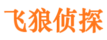 河北区侦探公司